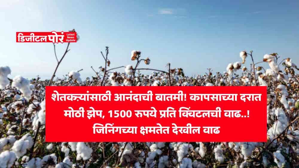 Cotton News