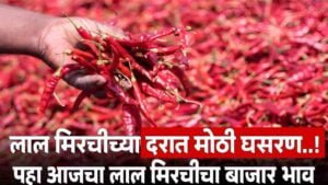 Red Chilli Price