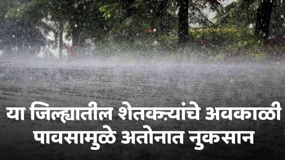 Maharashtra Rain