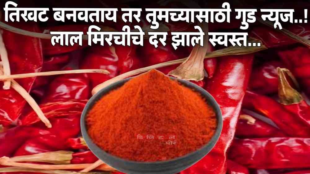 Red Chilli Price