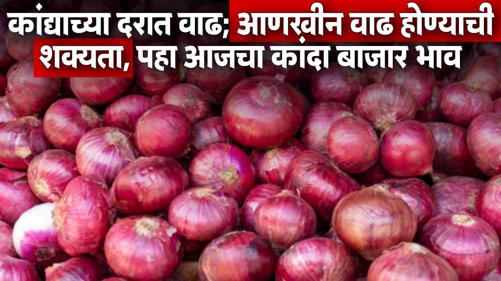 Onion Market Today