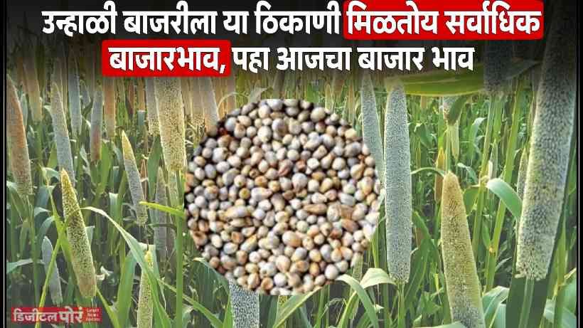 Millet Rate