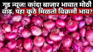 Onion Market Price Today
