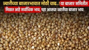 Sorghum Market Price In India