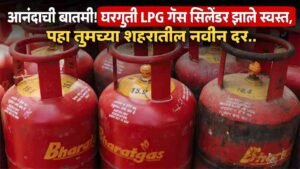 LPG Gas Cylinder New Price