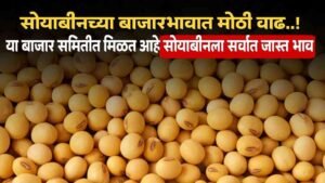 Soyabean Market Rate