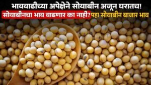 Soyabean Market Rate