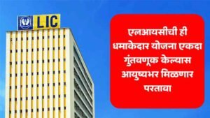 LIC Policy