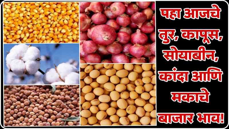 Agriculture Market News