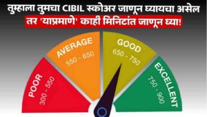 Cibil Score Check Online