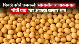 Soyabean Market Price