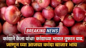 Onion Market Price