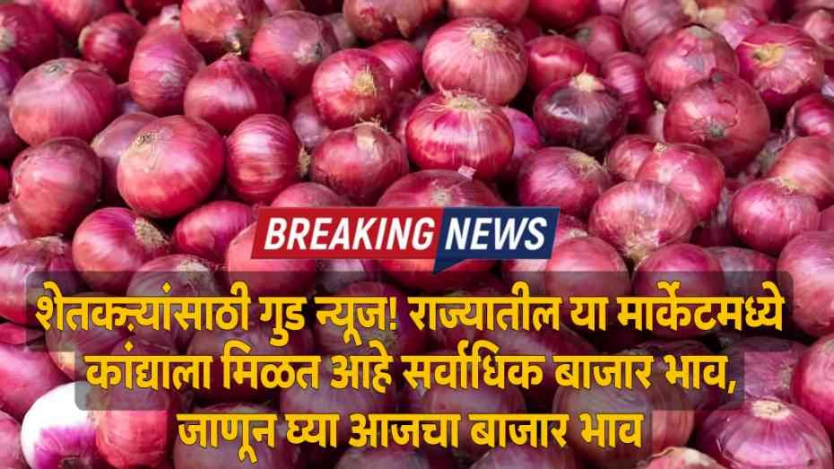 Onion Price Today