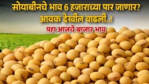 Soyabean Market Rate