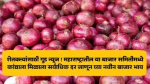 Onion market price