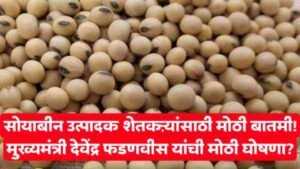 Soybean News