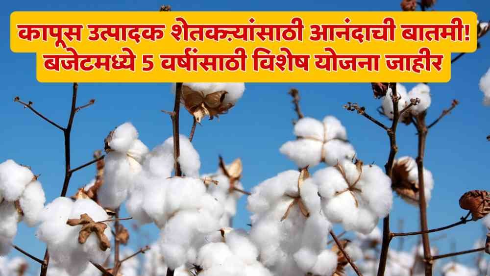 Cotton farmers News