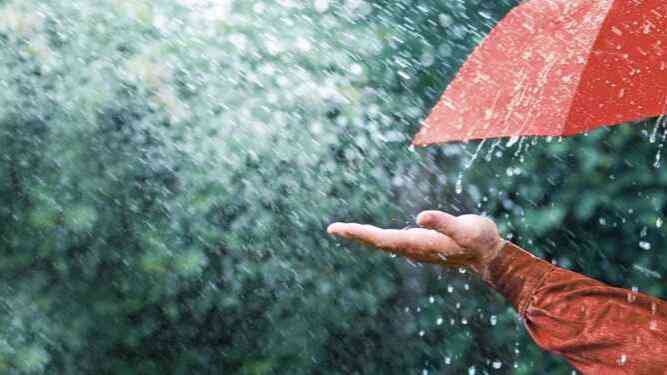 Maharashtra Rain Update