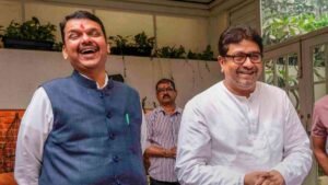 Devendra Fadnavis on Raj Thackeray
