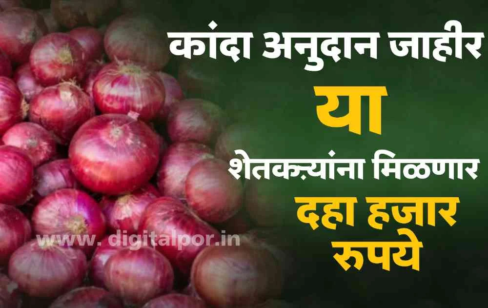 Onion Subsidy
