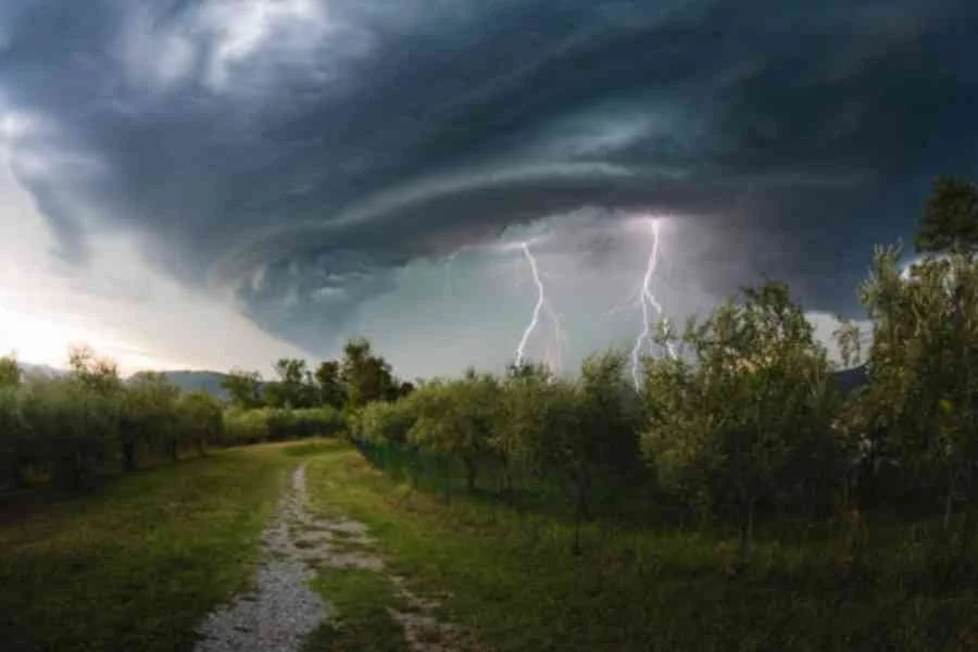 Maharashtra Weather News Update