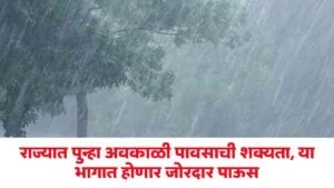 Maharashtra Unseasonal Rain