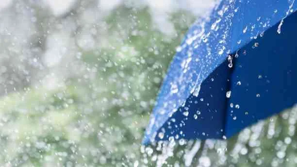 Maharashtra Meteorological Department news